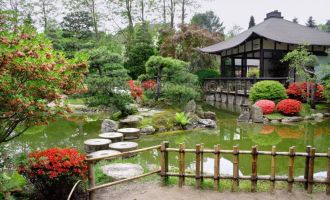 Teehaus im Japanischen Bonsaigarten , Foto: Japanischer Bonsaigarten